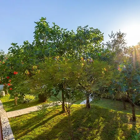 Holiday home House Anka Medulin
